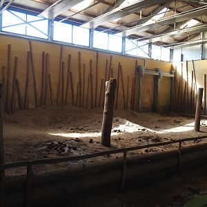 Asian elephant indoor exhibit, 2023-04-30