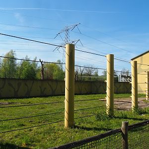 Asian elephant separation and training paddock, 2023-04-30