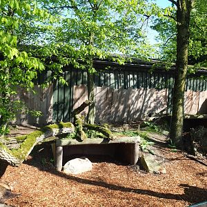 Raccoon dog exhibit, 2023-04-30