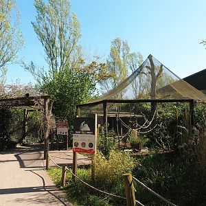 Walkway towards elephant house and Java sparrow, Pied imperial pigeon and Golden pheasant aviary, 2023-04-30