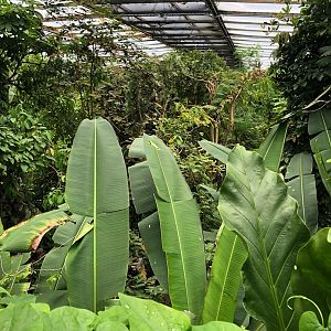 Burger's Zoo- view over Burger's Bush- 2022