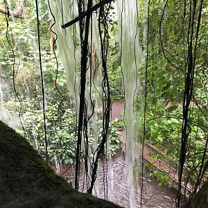 Burger's Zoo- waterfall in Burger's Bush- 2022