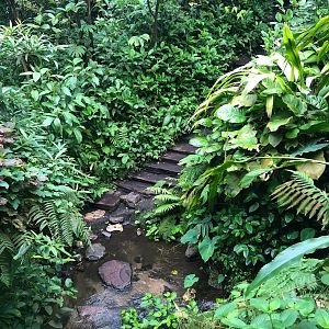 Burger's Zoo- Burger's Bush- 2022