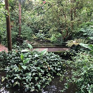 Burger's Zoo- Burger's Bush- 2022