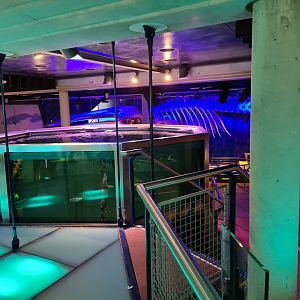 View from top floor of Sea aquarium