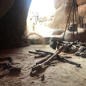 Burger's Zoo- rattlesnake exhibit- 2022