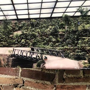 Burger's Zoo- Burger's Bush at opening- 2022