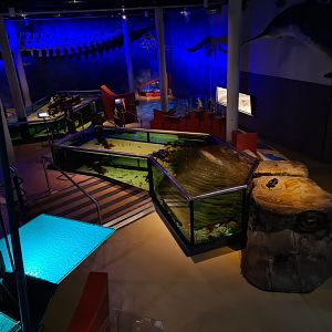 Wadden tank from above