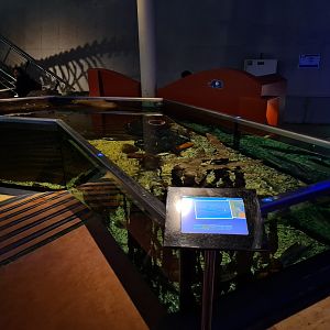 Wadden tank from above