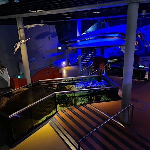 Harbour tank and Dyke tank from above