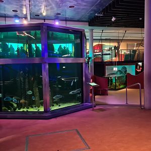 North Sea tank and general view