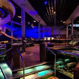 View of the aquarium room