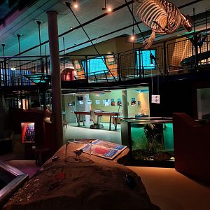 Back area of Aquarium room