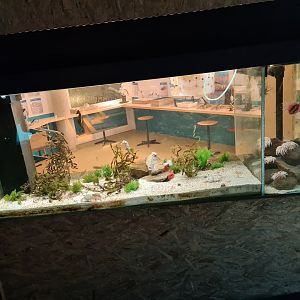 Ocean lab tank