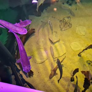 Top view of the North Sea tank