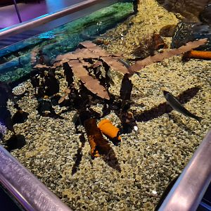 View of harbour tank