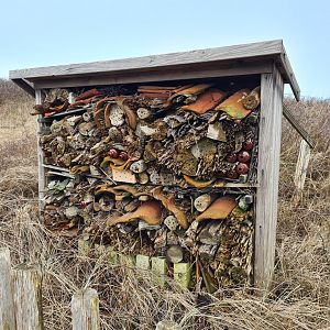 Insect Hotel