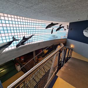 Stairway to Aquarium room