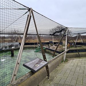 Seabird recovery aviary