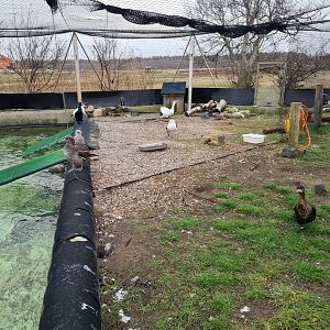 Beach area in Seabird recovery aviary