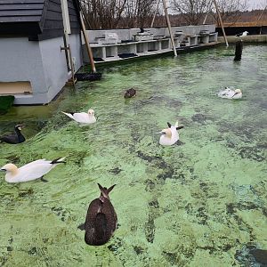 Seabird recovery aviary interior