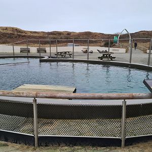 Former harbour porpoise tank, temporary Ringed seal enclosure