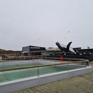 Overview of outdoor terrain