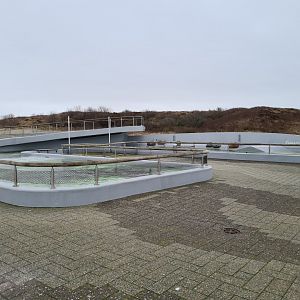 Harbour seal permanent enclosure