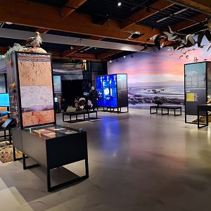 Wadden room (main museum area)