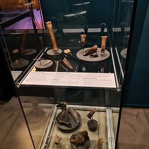 Findings in Doggerland