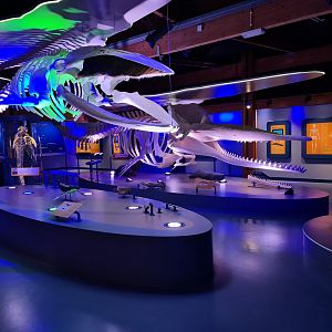 View of whale room