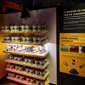 "Eat Weed" supermarket interior