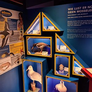 Mössel furnishings store interior