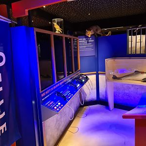 Police station in Wadden city