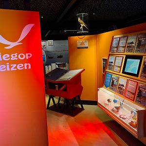 Travel bureau in Wadden city