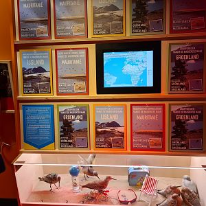 Travel bureau interior