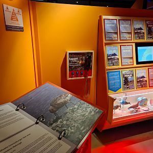 Travel bureau interior