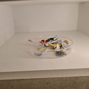 Contents of a Seagull stomach