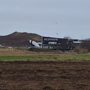 View of Ecomare from the dunes