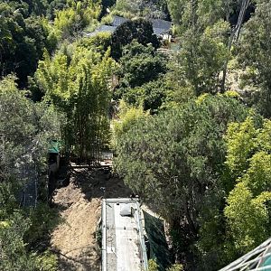 Giant Panda Construction From Canopy Bridge