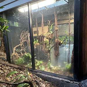 Former Coconut Crab Exhibit - Tiger River