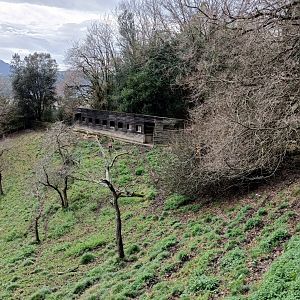 Karpín Fauna - Deer enclosure