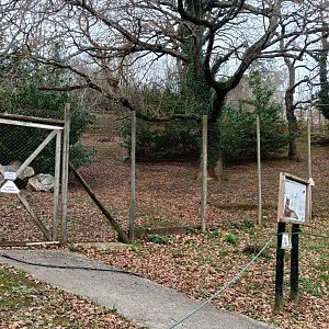 Karpín Fauna - Lynx enclosure