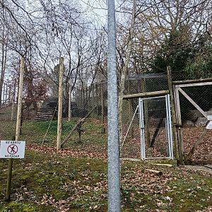 Karpín Fauna - Lynx enclosure