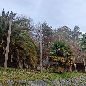 Karpín Fauna - Leopard enclosure