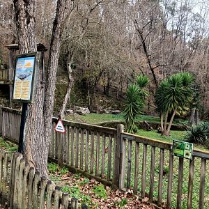 Karpín Fauna - Caiman enclosure