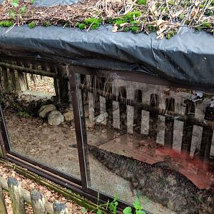 Karpín Fauna - Caiman enclosure