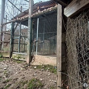 Karpín Fauna - Leopard indoor enclosure