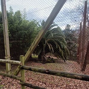 Karpín Fauna - Leopard enclosure