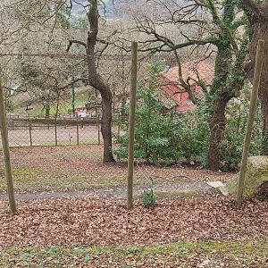 Karpín Fauna - Lynx enclosure
